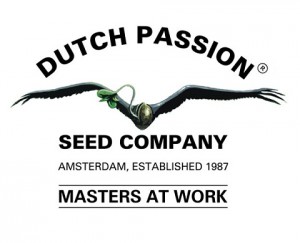 Dutch Passion logo CBD-rich