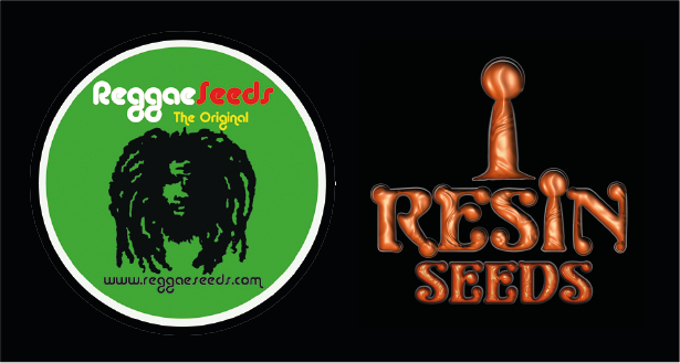 Reggae y Resin Seeds