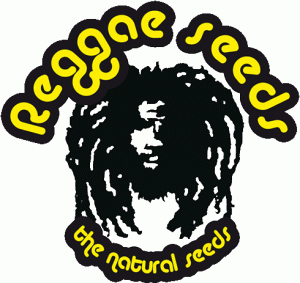 logotip-Reggae-Seeds-petit